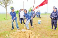 Đoàn viên, thanh niên tỉnh Quảng Trị trồng cây xanh tại thôn Nhật Lệ, xã Cam Thủy, huyện Cam Lộ. (Ảnh TRẦN TUYỀN)