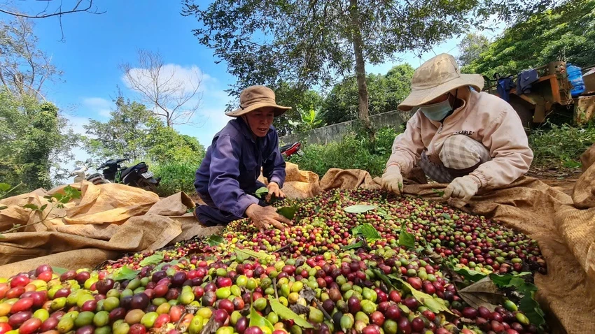 thực phẩm xuất khẩu.jpg