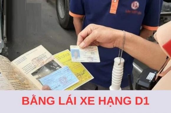 bằng lái xe d1