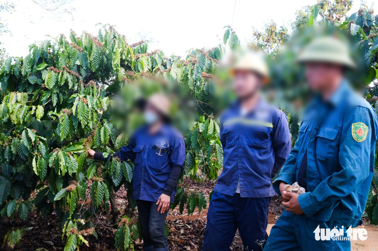 Vụ đóng bảo hiểm xã hội bằng cà phê: Họp lấy ý kiến người lao động - Ảnh 1.