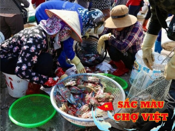 Khu chợ hải sản sầm uất nhất Nam Định, hàng tấn cá tôm bán hết veo chỉ trong 2 tiếng