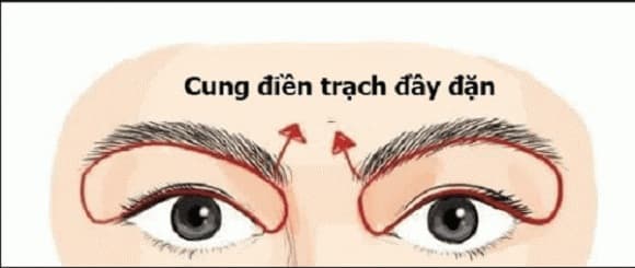 nhân tướng học, tướng làm ăn kinh doanh