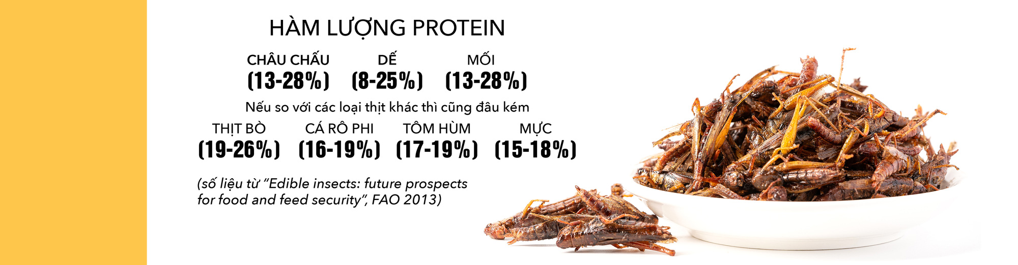 Món côn trùng, bếp núc ngày càng sáng tạo - Ảnh 5.