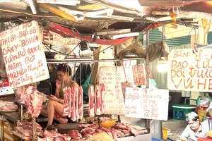 Giá heo Việt Nam tăng nóng, heo từ Thái Lan bắt đầu 'chạy' vào 