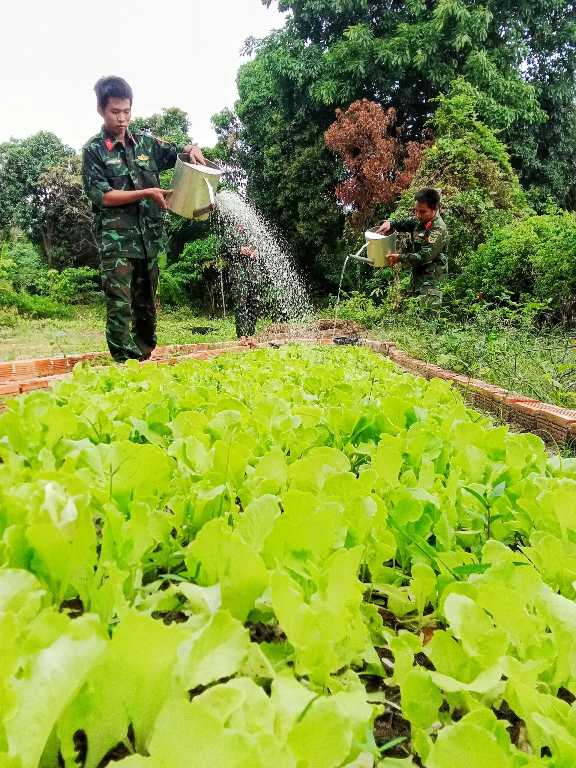 Cuộc thi viết về chủ quyền: Về nơi đầu sóng - Ảnh 5.