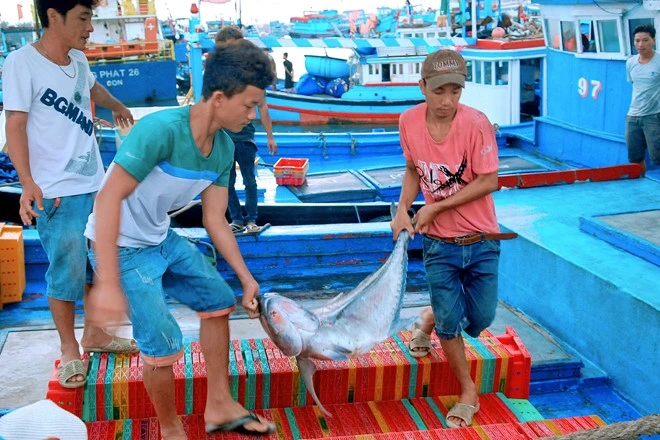 Mách bạn khu chợ hải sản sầm uất nhất đảo Phú Quý, ai cũng đóng mấy thùng về làm quà - 3