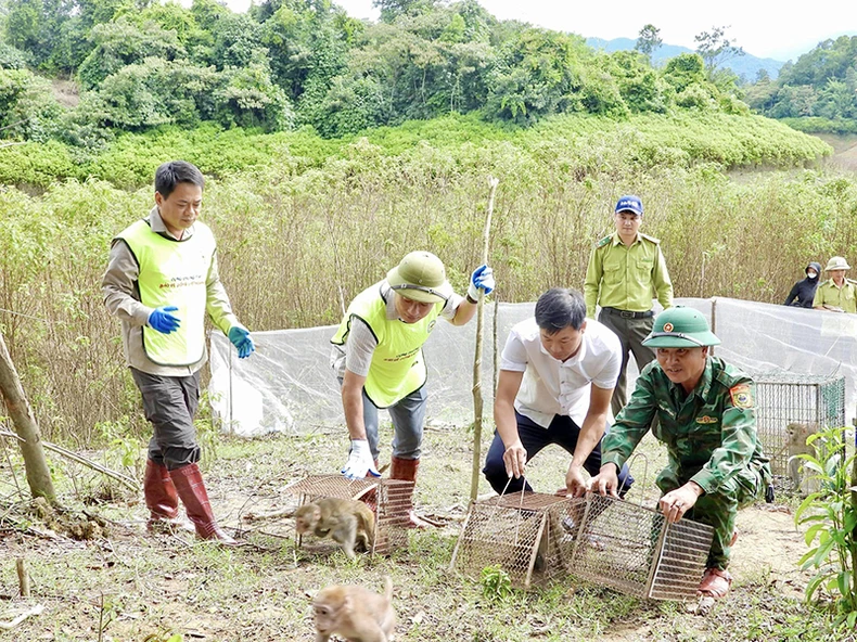 Bảo vệ động, thực vật hoang dã ảnh 1