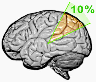 Chúng ta có thể làm được gì với một bộ não được kích hoạt 100%?- Ảnh 1.