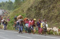 Người dân đi sơ tán do giao tranh ở Cộng hòa dân chủ Congo.