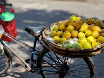 Loại quả quê xưa không ai biết đến, nay thành đặc sản nổi tiếng có hương vị đặc biệt, dân thành phố ưa chuộng