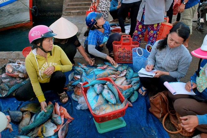 Mách bạn khu chợ hải sản sầm uất nhất đảo Phú Quý, ai cũng đóng mấy thùng về làm quà - 1