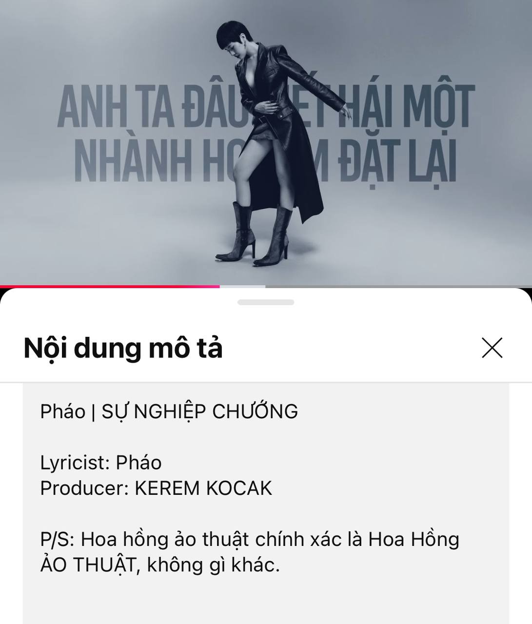 Ngọc Kem đứng về phía Pháo, thêm 1 sao nữ 