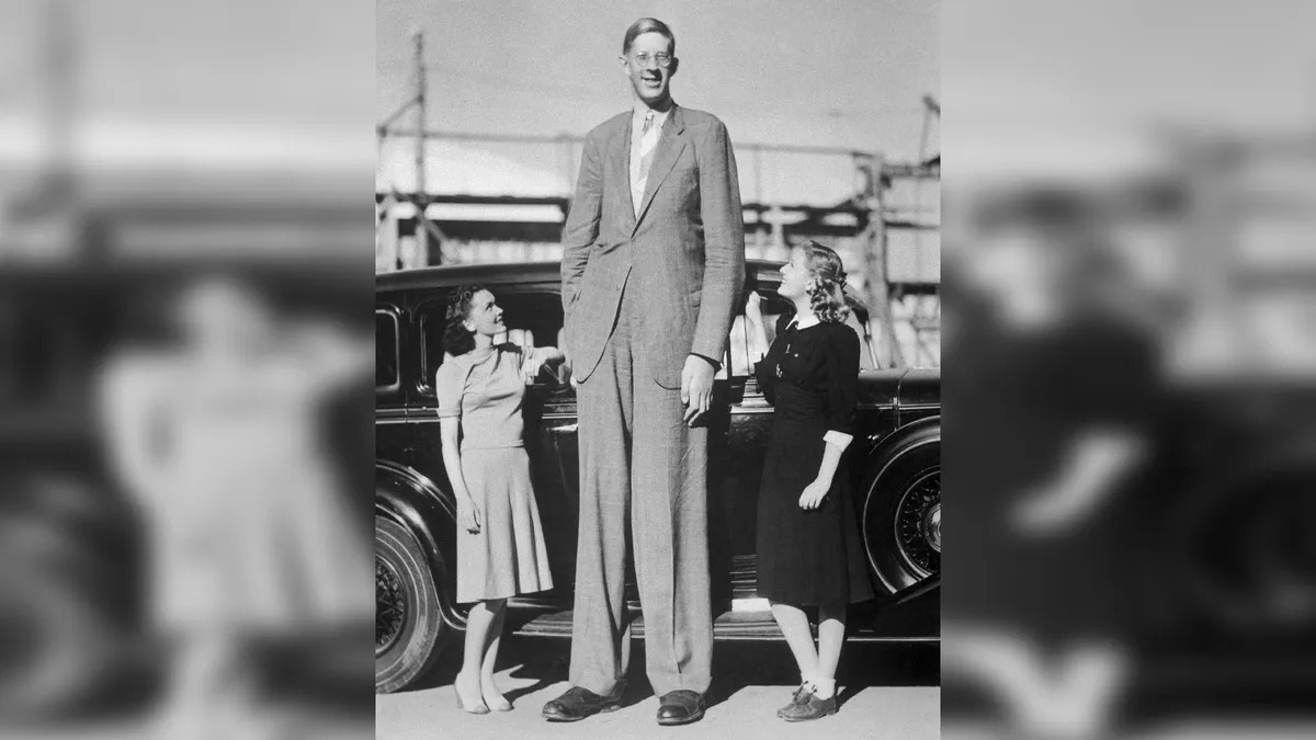 Robert Wadlow, người cao nhất được ghi nhận, cao tới 2,72m trước khi qua đời ở tuổi 22 vào năm 1940 - Ảnh: Getty