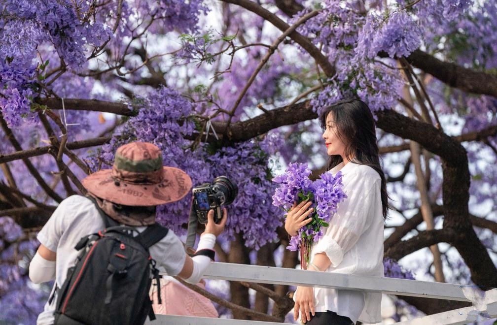 Sac tim thoi mien du khach den thanh pho mua