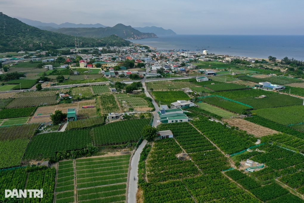 12.390 tỷ đồng di dân tái định cư làm dự án điện hạt nhân Ninh Thuận 1 - 1