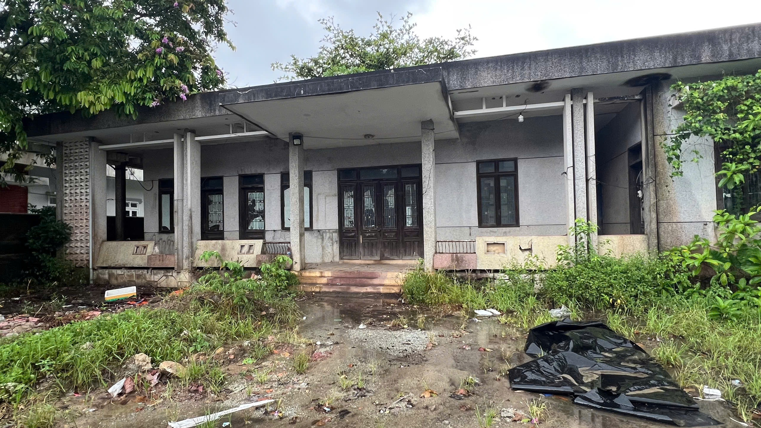 Huế tìm phương án xử lý hiệu quả cho ngôi nhà hoang ven Quốc lộ 49 - Ảnh 3. Huế tìm phương án xử lý hiệu quả cho ngôi nhà hoang ven Quốc lộ 49 - Ảnh 3.