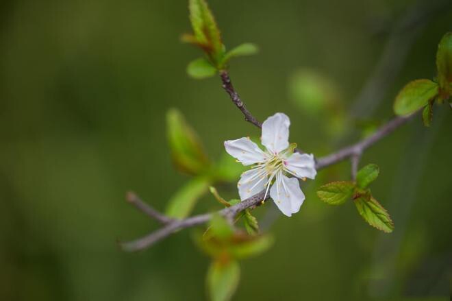 Sở hữu 2 trên 4 điều này chứng tỏ bạn đang sống rất tốt 2 Sở hữu 2 trên 4 điều này chứng tỏ bạn đang sống rất tốt - 2