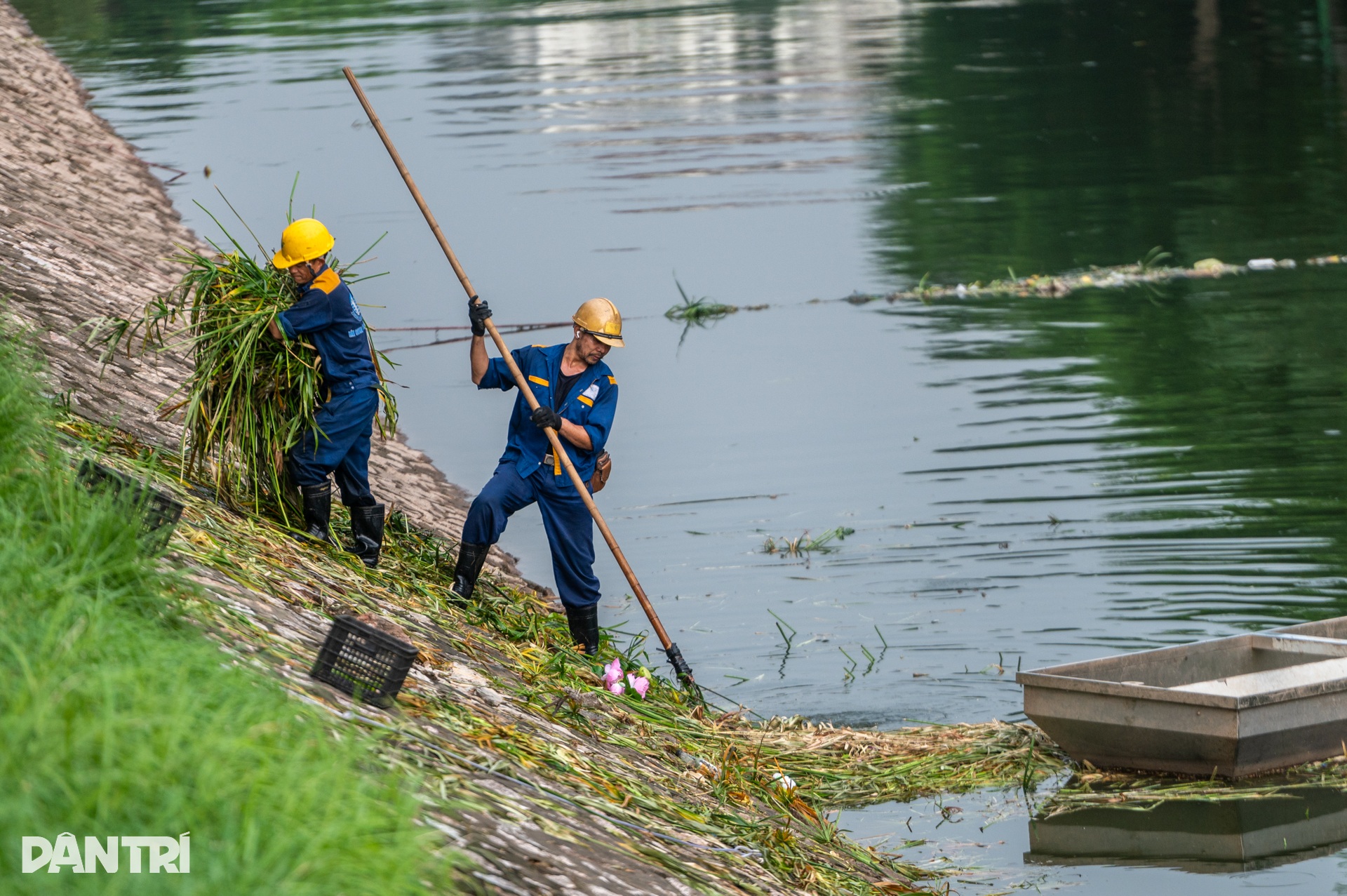 Hình ảnh sông Tô Lịch đón dòng nước trong xanh mới từ hồ Tây - 7 Hình ảnh sông Tô Lịch đón dòng nước trong xanh mới từ hồ Tây - 7