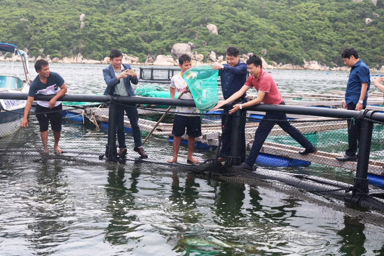 Liên kết để phát triển kinh tế biển - Ảnh 3. Liên kết để phát triển kinh tế biển - Ảnh 3.