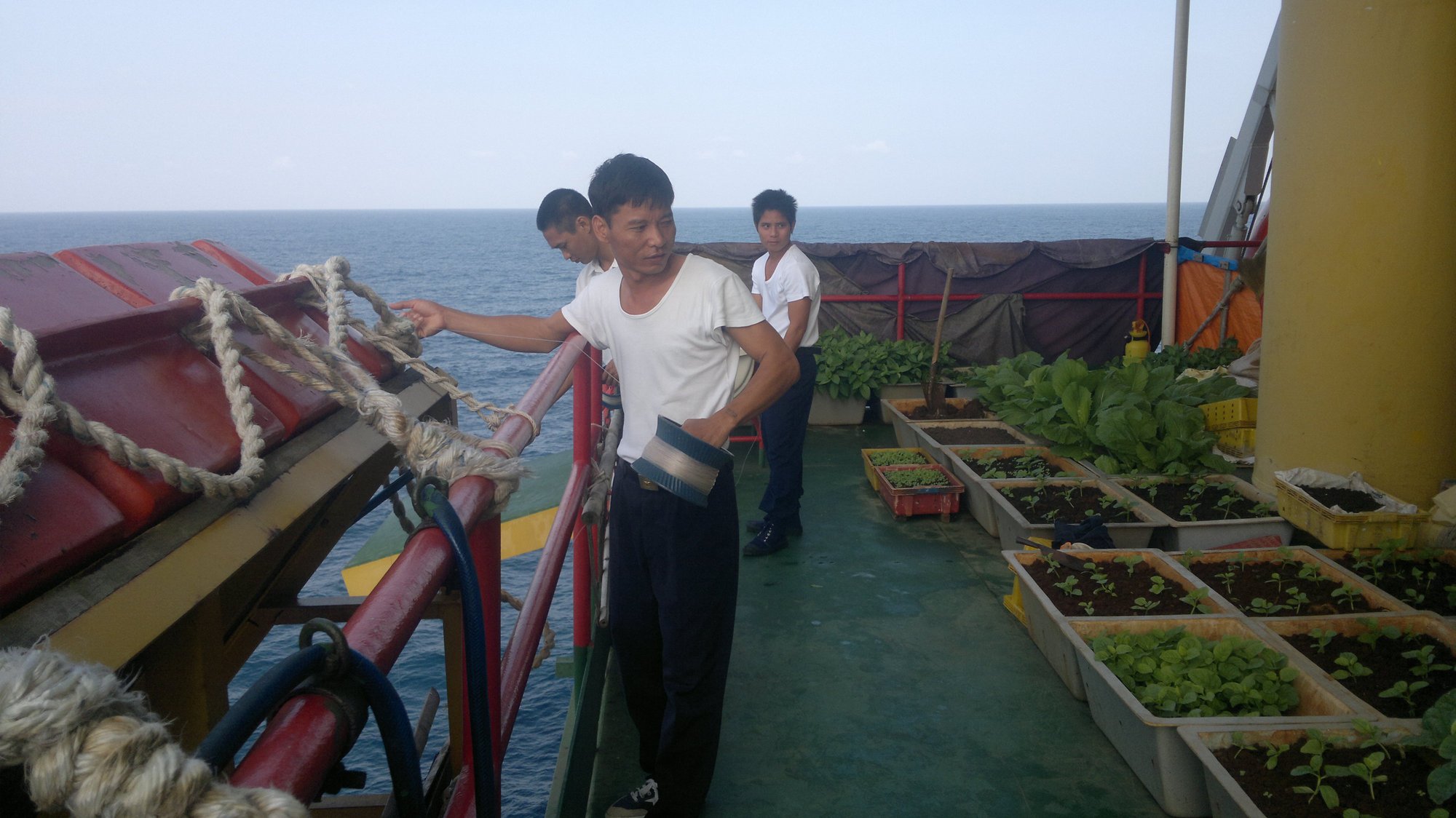 Cuộc thi viết về chủ quyền: Ký ức nhà giàn - Ảnh 3. Cuộc thi viết về chủ quyền: Ký ức nhà giàn - Ảnh 3.