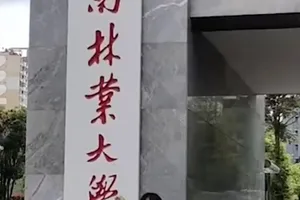 Con trai thi rớt, mẹ 50 tuổi ‘học lỏm’ sách của con rồi đỗ thạc sĩ