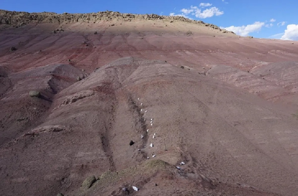 Phát hiện Phát hiện