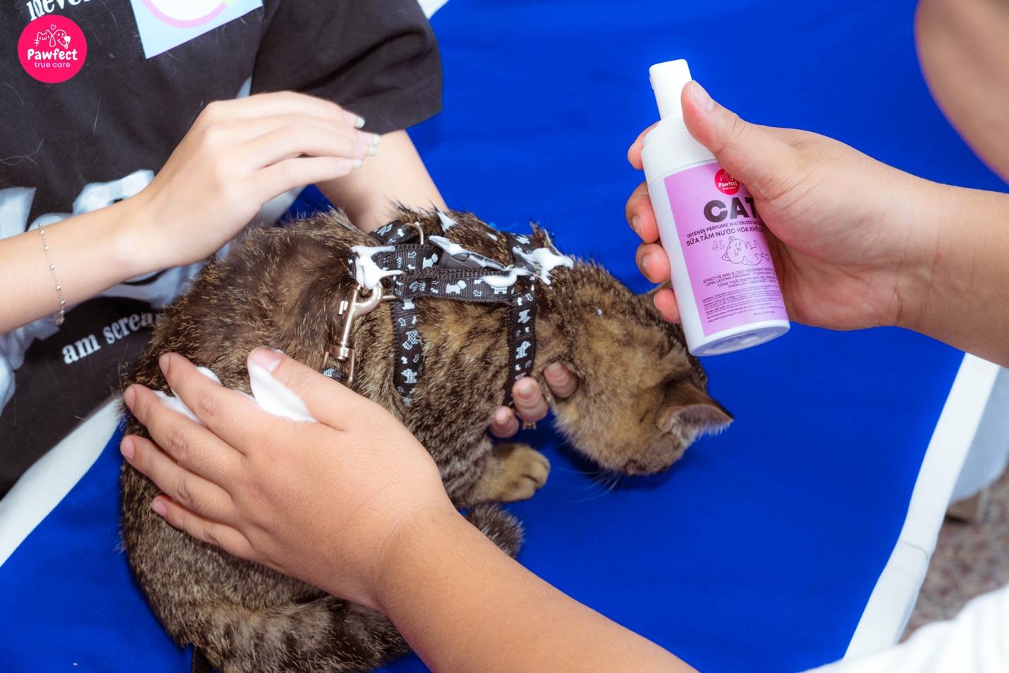 Sữa tắm khô - Giải pháp cho boss sợ nước và sen bận rộn- Ảnh 3. Sữa tắm khô - Giải pháp cho boss sợ nước và sen bận rộn- Ảnh 3.