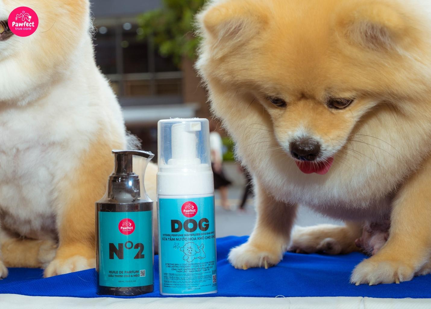 Sữa tắm khô - Giải pháp cho boss sợ nước và sen bận rộn- Ảnh 4. Sữa tắm khô - Giải pháp cho boss sợ nước và sen bận rộn- Ảnh 4.