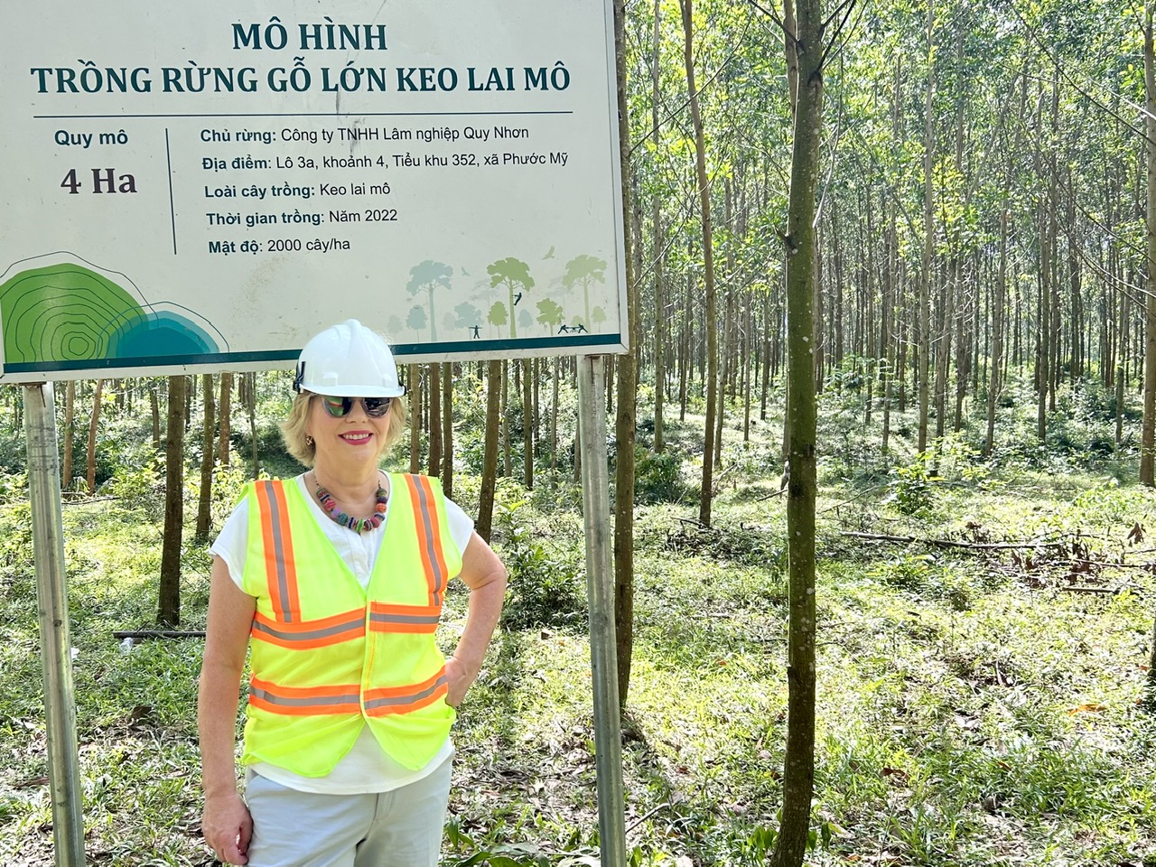 Cú hích cho tương lai rừng gỗ lớn Việt Nam 3 Hướng đến tương lai rừng gỗ lớn cho Việt Nam - Ảnh 3.