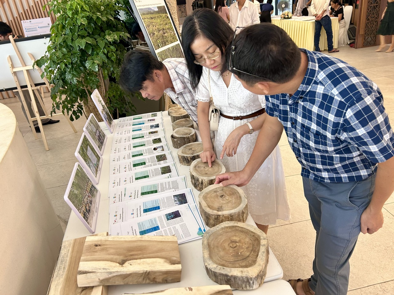 Cú hích cho tương lai rừng gỗ lớn Việt Nam 4 Hướng đến tương lai rừng gỗ lớn cho Việt Nam - Ảnh 4.