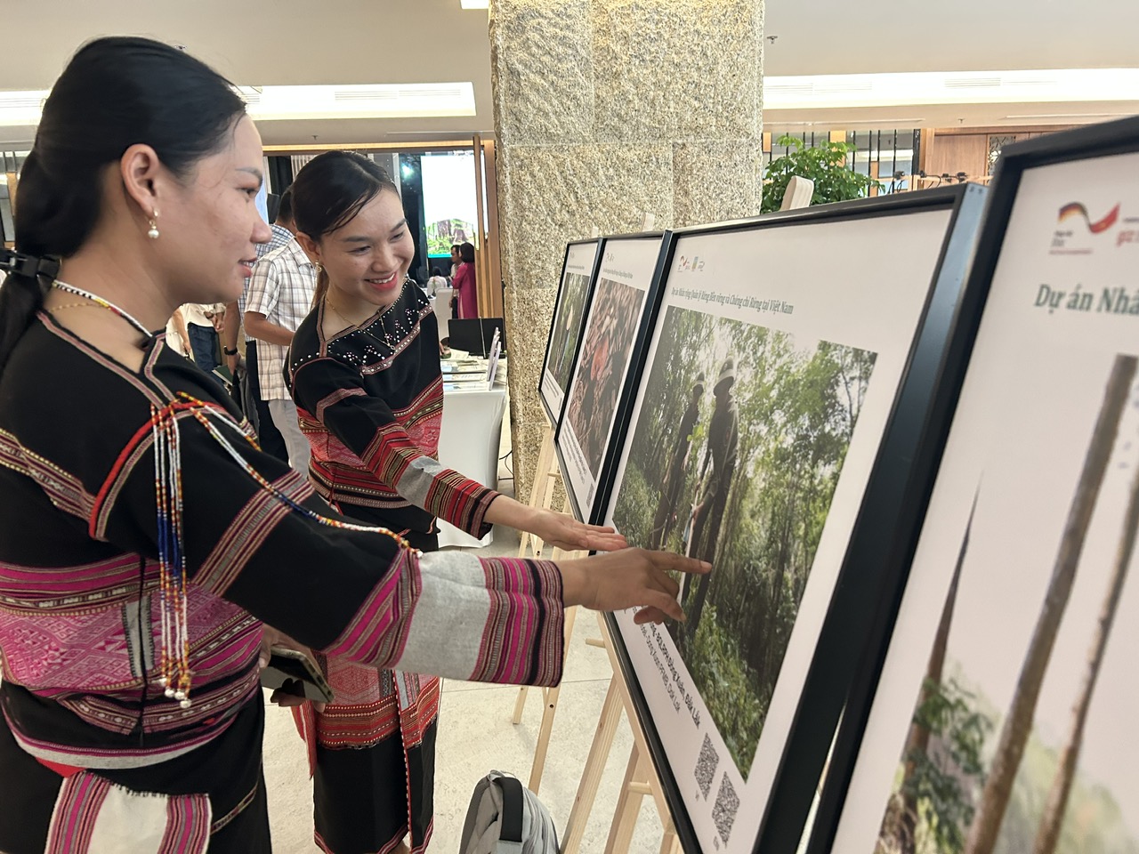 Cú hích cho tương lai rừng gỗ lớn Việt Nam 5 Hướng đến tương lai rừng gỗ lớn cho Việt Nam - Ảnh 5.