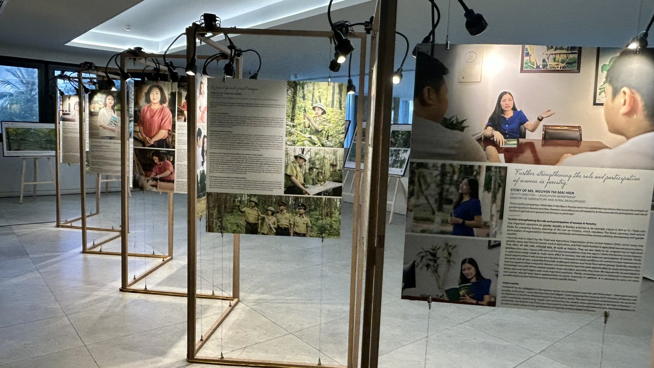 Cú hích cho tương lai rừng gỗ lớn Việt Nam 6 Hướng đến tương lai rừng gỗ lớn cho Việt Nam - Ảnh 6.