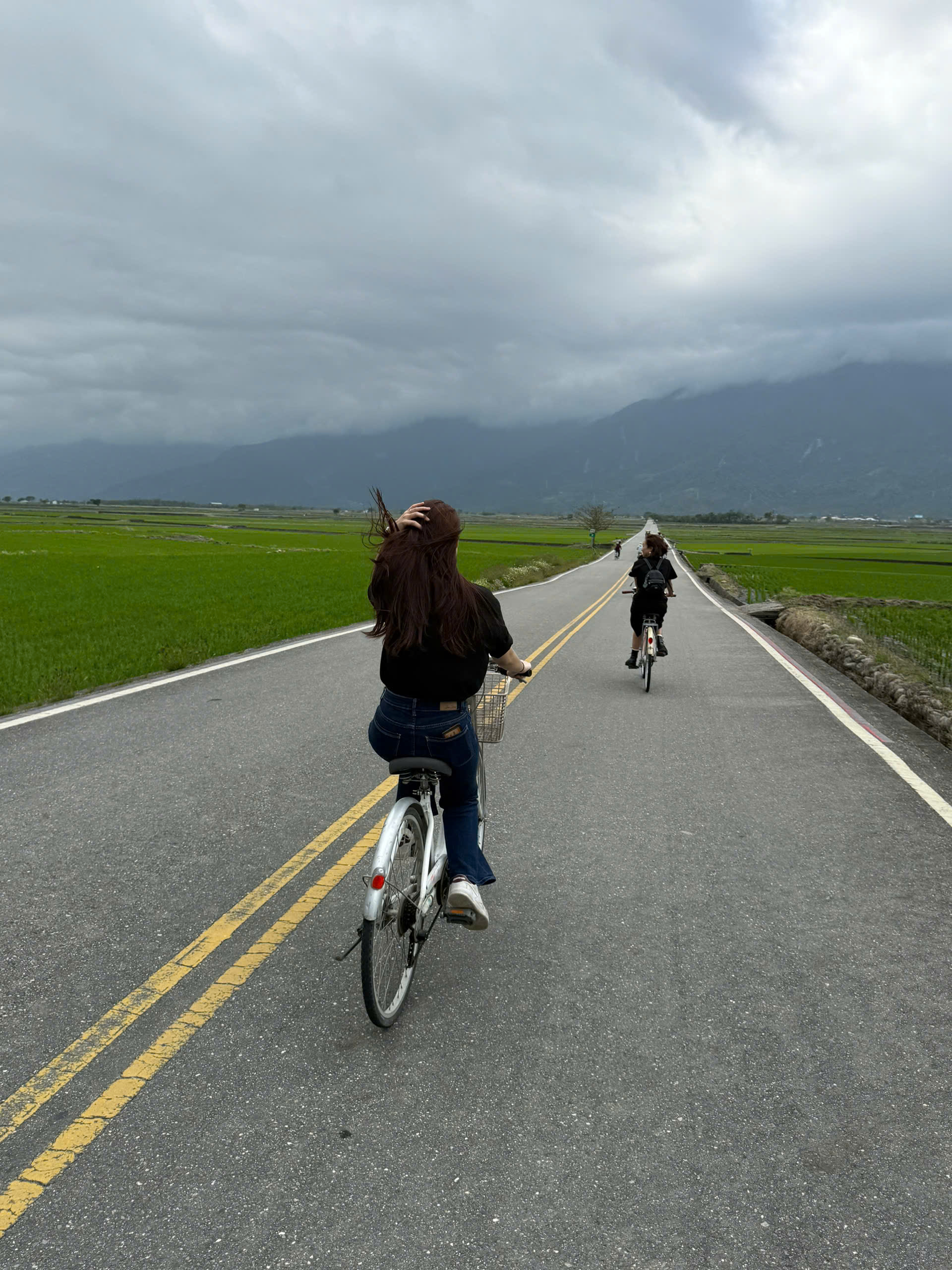 Check-in cây cô đơn mang tên siêu sao Kim Thành Vũ- Ảnh 2. Check-in cây cô đơn mang tên siêu sao Kim Thành Vũ- Ảnh 2.