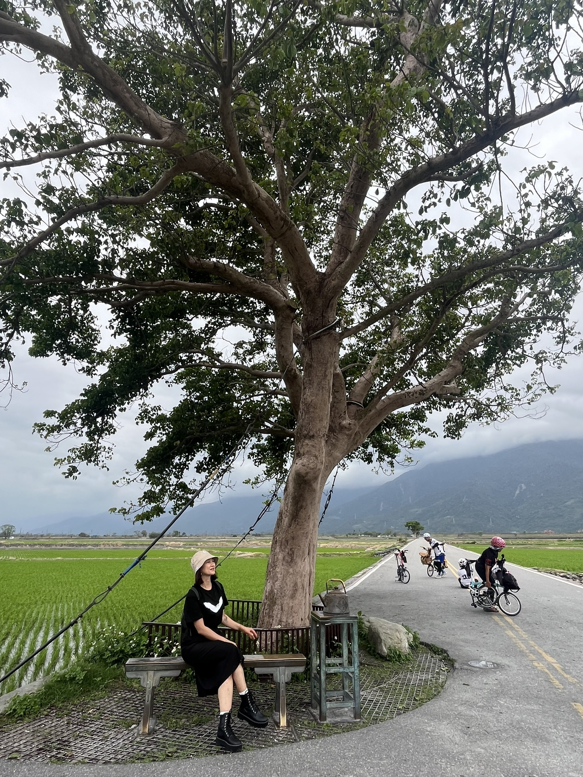 Check-in cây cô đơn mang tên siêu sao Kim Thành Vũ- Ảnh 5. Check-in cây cô đơn mang tên siêu sao Kim Thành Vũ- Ảnh 5.