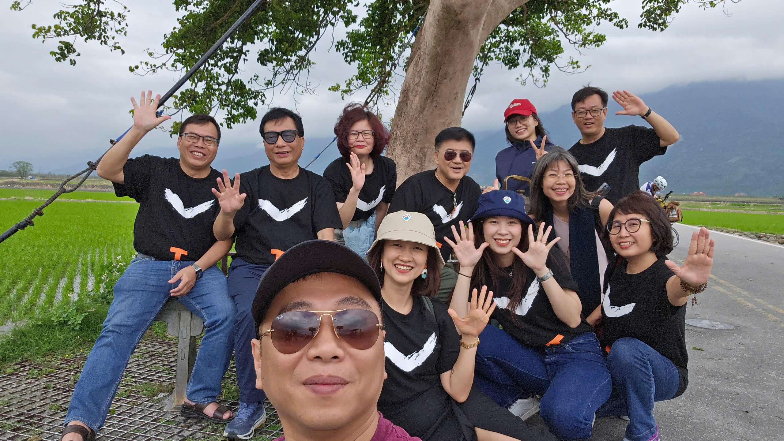 Check-in cây cô đơn mang tên siêu sao Kim Thành Vũ- Ảnh 6. Check-in cây cô đơn mang tên siêu sao Kim Thành Vũ- Ảnh 6.