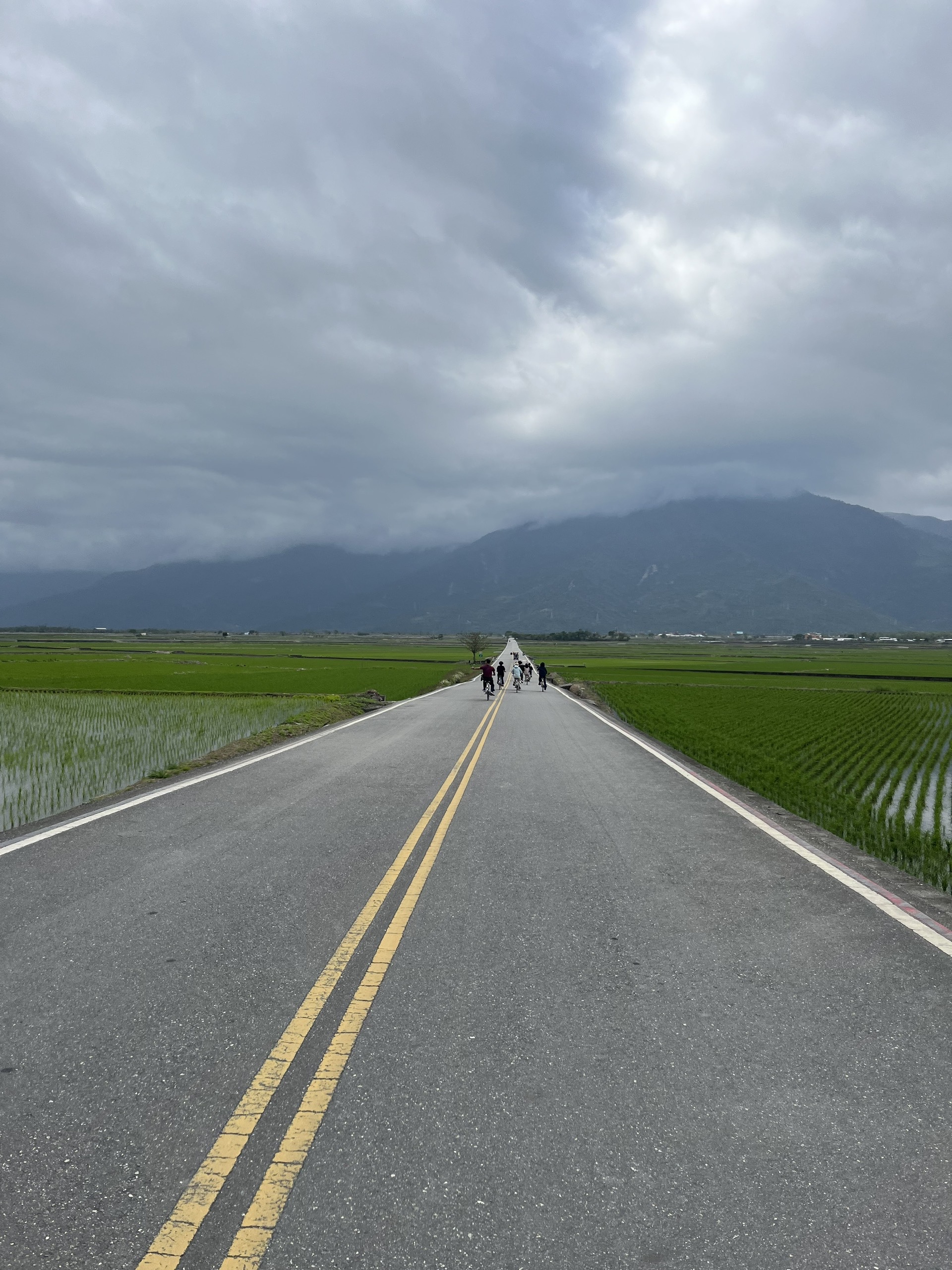 Check-in cây cô đơn mang tên siêu sao Kim Thành Vũ- Ảnh 9. Check-in cây cô đơn mang tên siêu sao Kim Thành Vũ- Ảnh 9.