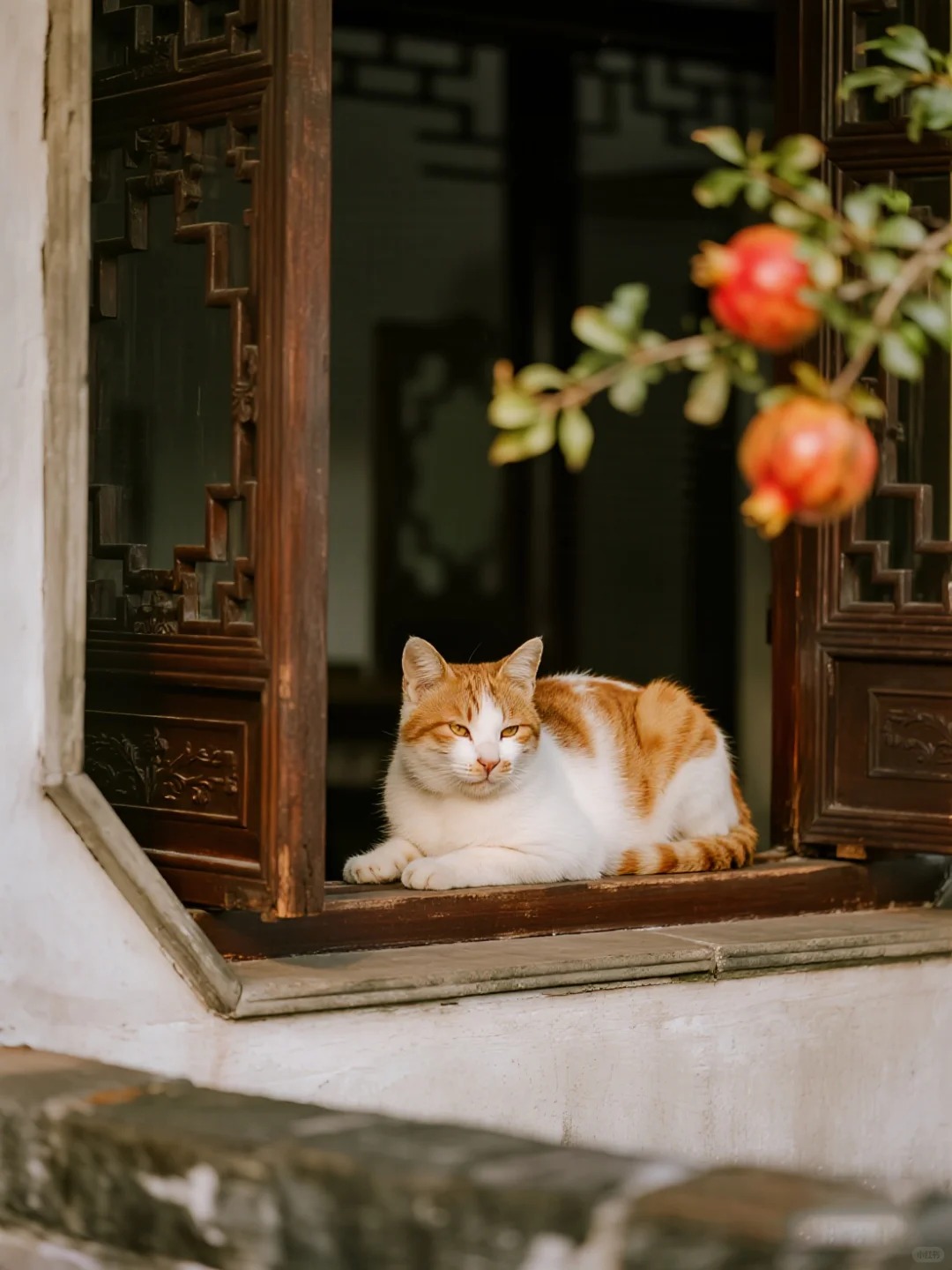 Tại sao người xưa tin rằng trồng cây lựu trước nhà sẽ sinh con đàn cháu đống, tiền tài viên mãn?- Ảnh 5. Tại sao người xưa tin rằng trồng cây lựu trước nhà sẽ sinh con đàn cháu đống, tiền tài viên mãn?- Ảnh 5.