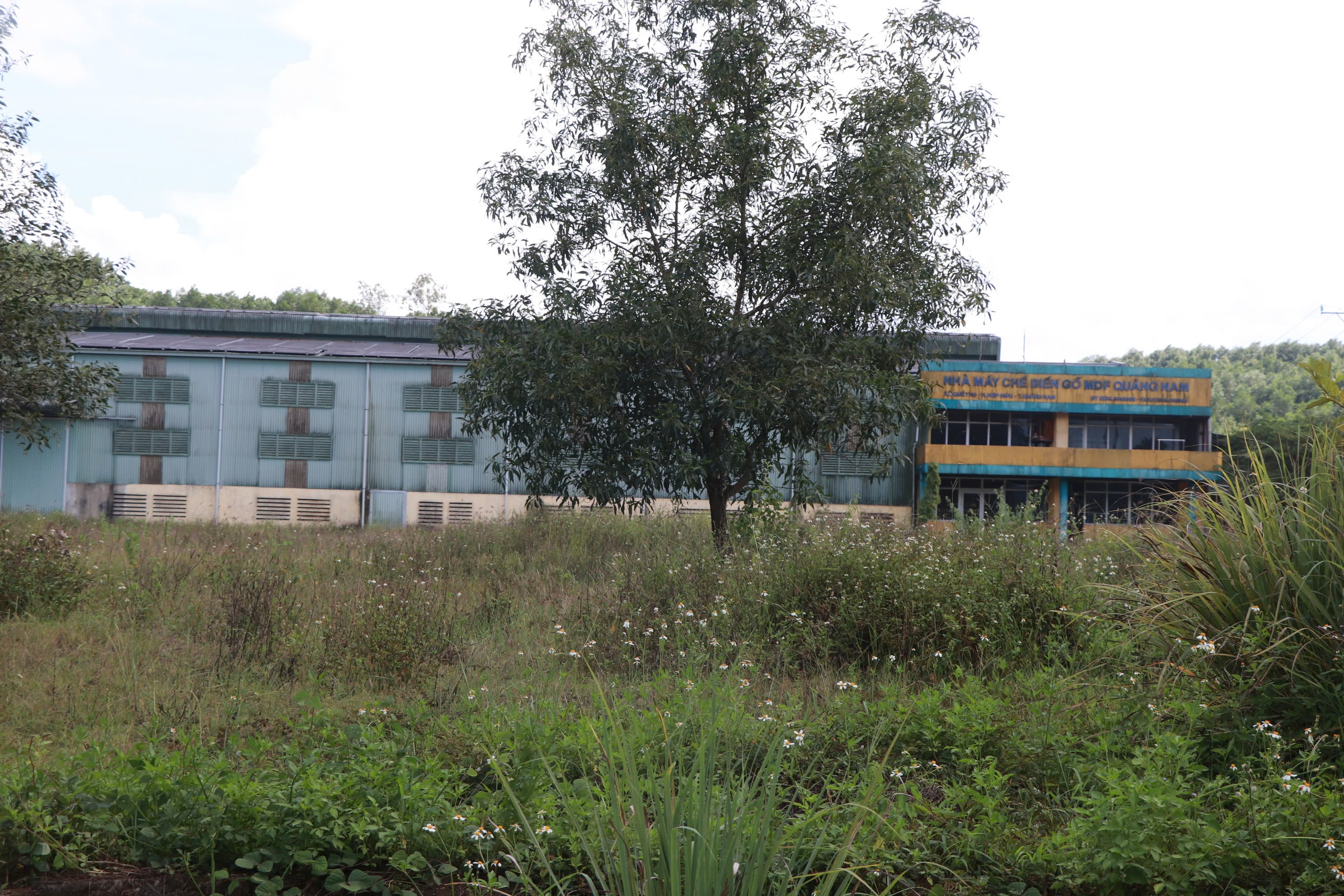 Nhà máy 500 tỉ ở Đà Nẵng Nhà máy 500 tỉ ở Đà Nẵng