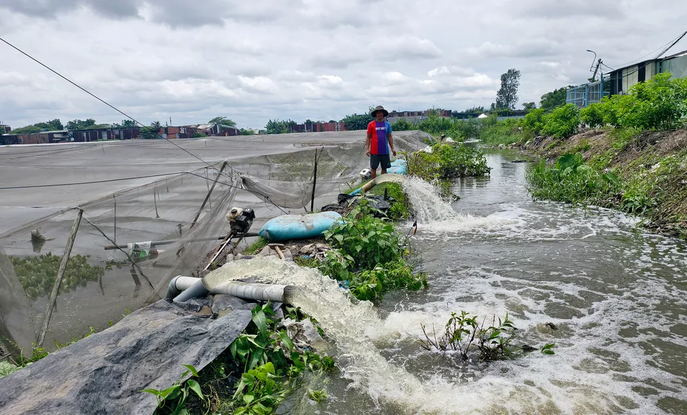 Đến trưa ngày 19-9, người dân vẫn đang tập trung bơm nước ra khỏi vườn rau. Ảnh: NT mua-lon-khien-nhieu-vuon-rau-o-xa-vinh-loc-bi-ngap-thiet-hai-hang-tram-trieu-9.jpg