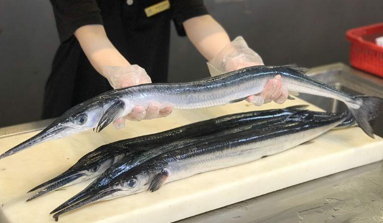 Loài cá được mệnh danh "sát thủ" lại là đặc sản nổi tiếng ở Kiên Giang: Cái tên lạ bắt nguồn từ màu xương hiếm thấy 2 Loài cá được mệnh danh amp;#34;sát thủamp;#34; lại là đặc sản nổi tiếng ở Kiên Giang: Cái tên lạ bắt nguồn từ màu xương hiếm thấy - 2