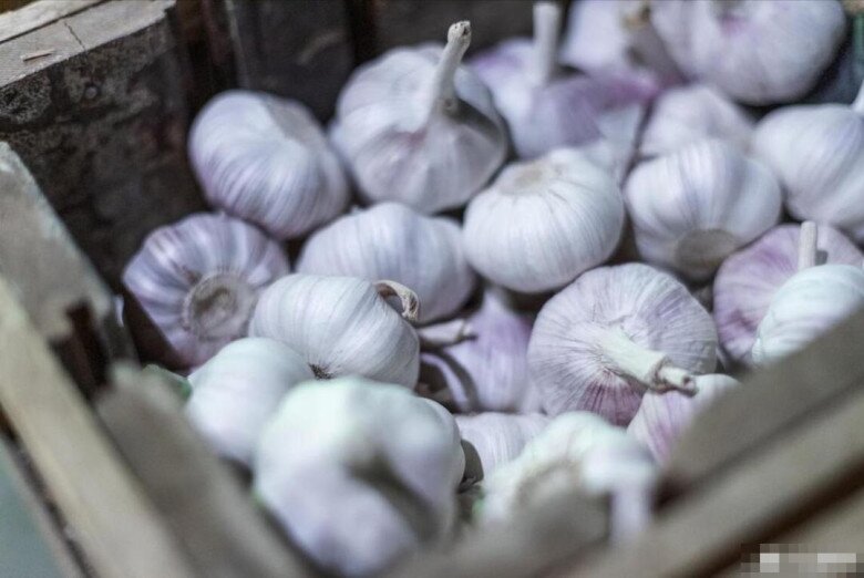 Tỏi bán đầy chợ nhưng có 5 củ này đừng mua, ngay cả người bán rau cũng không ăn, hãy nhanh nhắc nhở gia đình 2 Tỏi bán đầy chợ nhưng có 5 củ này đừng mua, ngay cả người bán rau cũng không ăn, hãy nhanh nhắc nhở gia đình - 2