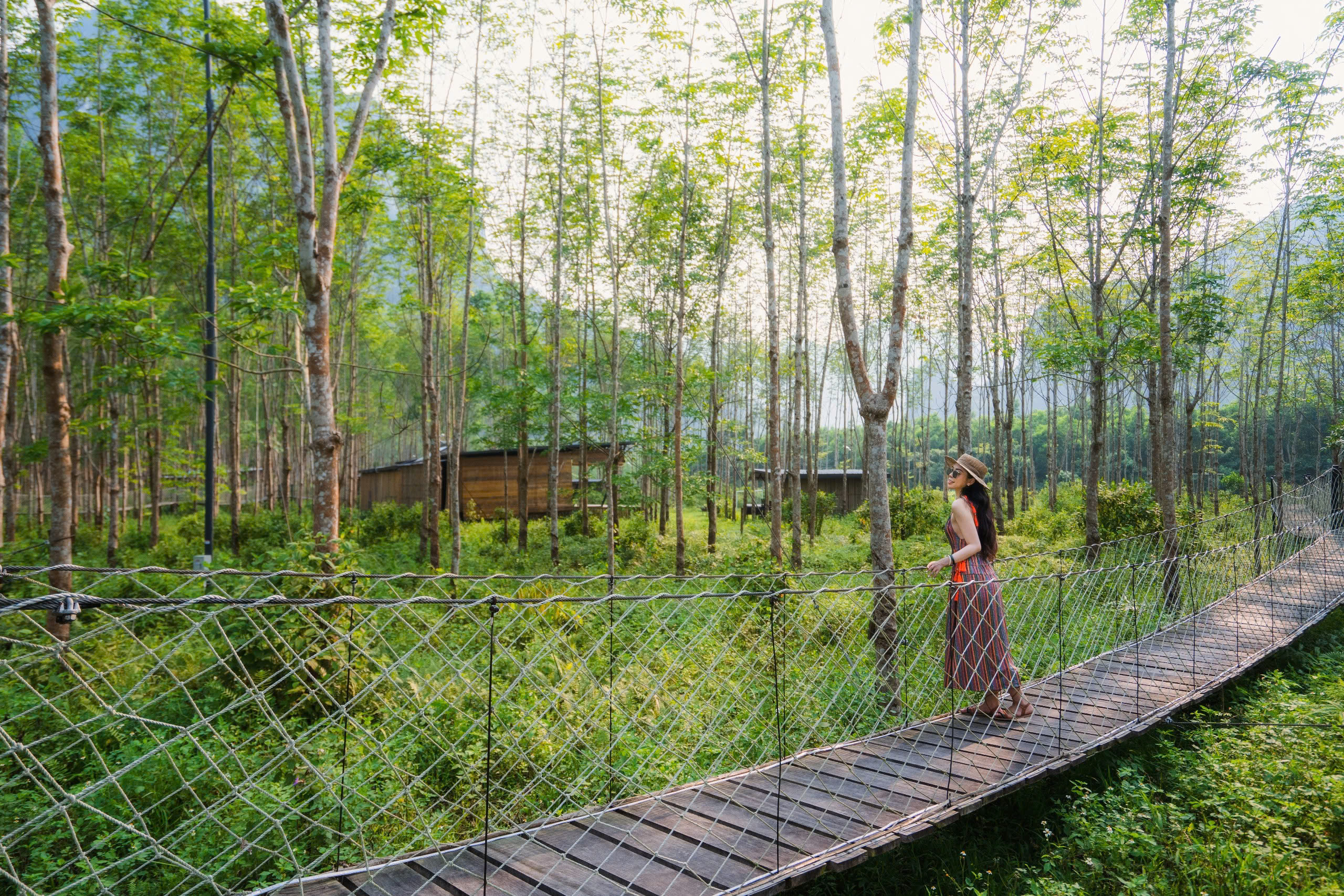 Du lịch sinh thái Net Zero- Ảnh 2. Du lịch sinh thái Net Zero- Ảnh 2.