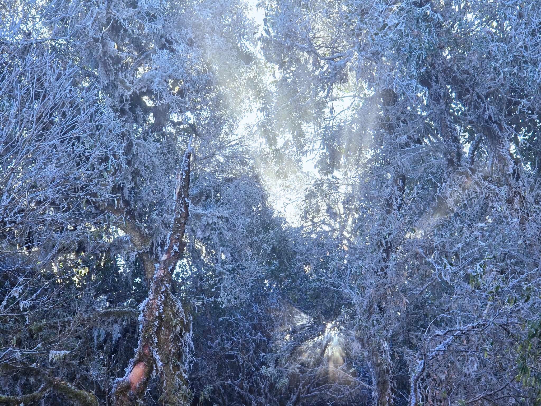 Băng giá bất ngờ xuất hiện ở Băng giá bất ngờ xuất hiện ở