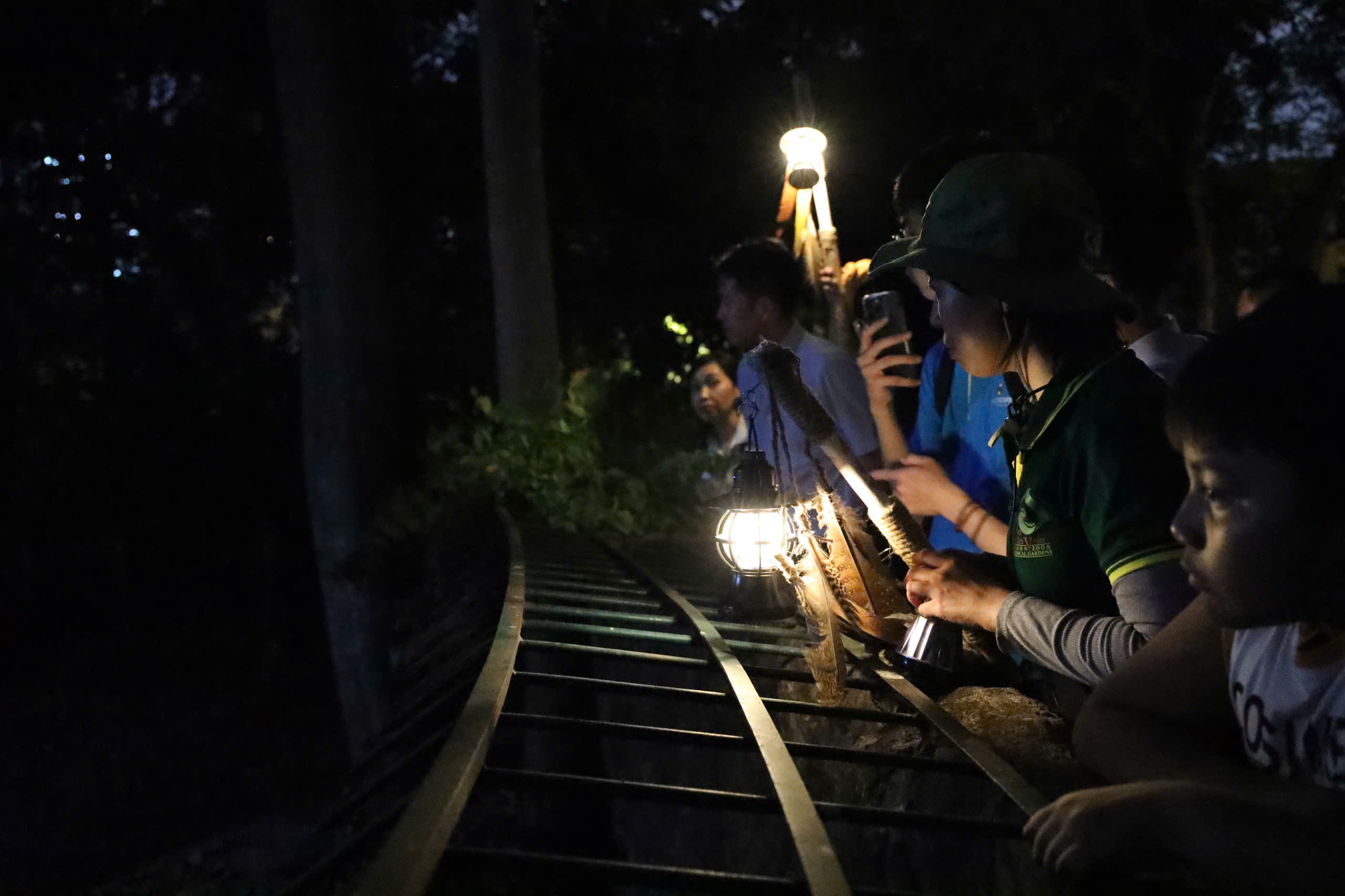 Săn lùng mắt phát sáng trong đêm tại Thảo Cầm Viên Sài Gòn- Ảnh 3. Săn lùng mắt phát sáng trong đêm tại Thảo Cầm Viên Sài Gòn- Ảnh 3.