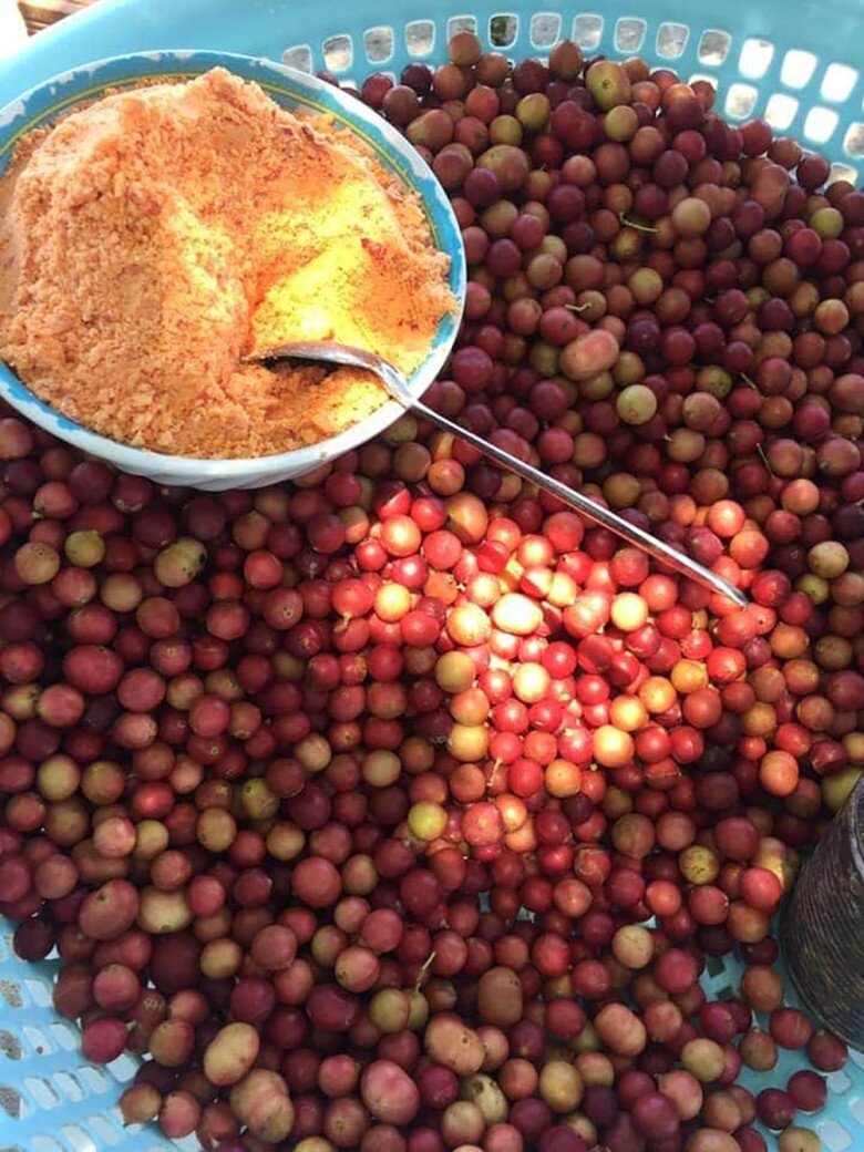 Loại quả chỉ có ở Ninh Thuận: Mọc dại trên rừng không cần chăm sóc, mùi thơm phức ăn một lần là mê 4 Loại quả chỉ có ở Ninh Thuận: Mọc dại trên rừng không cần chăm sóc, mùi thơm phức ăn một lần là mê - 4