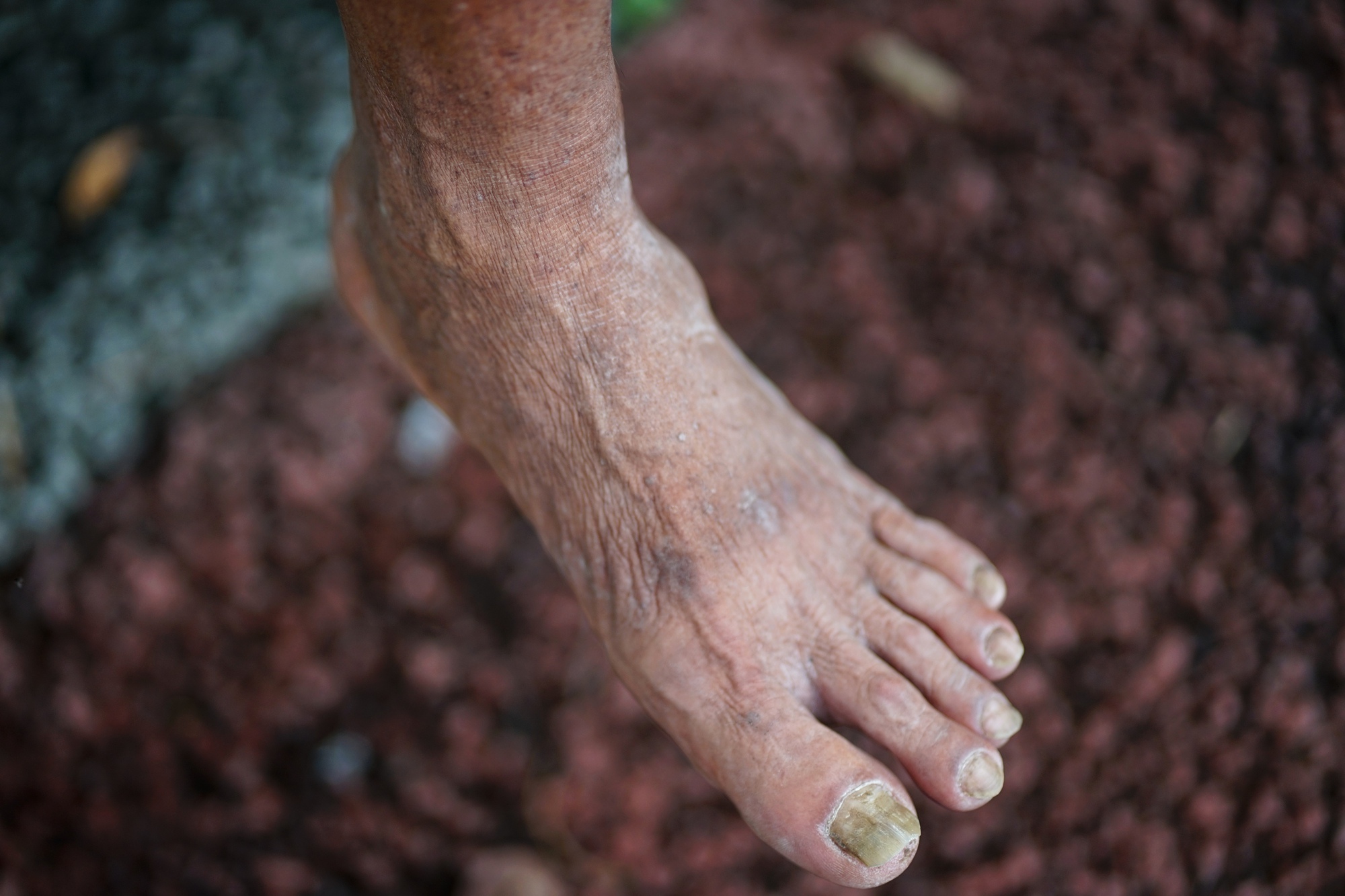 Kỳ lạ chuyện đời "chú Minh cô đơn": 32 năm chở che sinh viên, cuối đời vẫn không muốn thuê nhà trọ chỉ vì một lý do- Ảnh 4. Kỳ lạ chuyện đời "chú Minh cô đơn": 32 năm chở che sinh viên, cuối đời vẫn không muốn thuê nhà trọ chỉ vì một lý do- Ảnh 4.