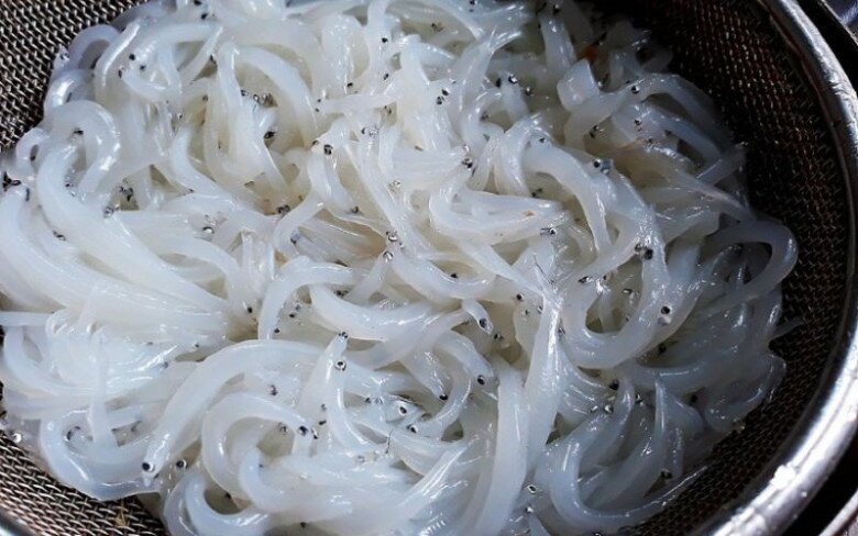 "Lộc trời" độc nhất ở sông Đà: Được mệnh danh là "ngọc trong nước", cực bổ dưỡng giúp kéo dài tuổi thọ 5 amp;#34;Lộc trờiamp;#34; độc nhất ở sông Đà: Được mệnh danh là amp;#34;ngọc trong nướcamp;#34;, cực bổ dưỡng giúp kéo dài tuổi thọ - 5