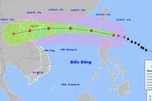 Thủ tướng yêu cầu chủ động ứng phó ở mức cao nhất với siêu bão RAGASA