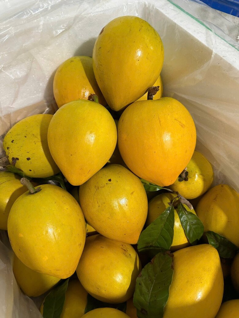 Trái trứng gà ngày nay được nhân giống với vẻ ngoài đẹp mắt, vàng ươm nên được nhiều gia đình chọn mua về để chưng trong mâm quả, làm bánh...