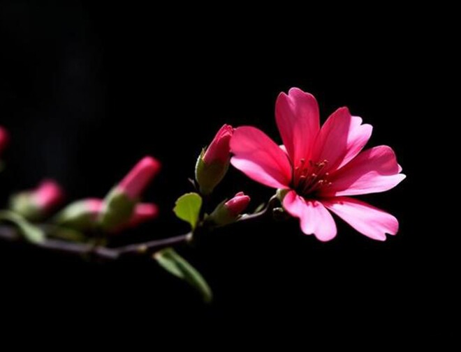 Muốn cuộc sống hạnh phúc, thoải mái hơn, người khôn ngoan ít làm 3 điều này - 2